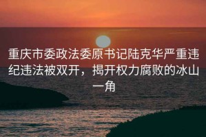 重慶市委政法委原書記陸克華嚴(yán)重違紀(jì)違法被雙開，揭開權(quán)力腐敗的冰山一角