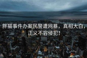 胖貓事件辦案民警遭網(wǎng)暴，真相大白，正義不容侵犯！