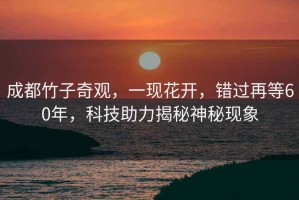 成都竹子奇觀，一現(xiàn)花開，錯過再等60年，科技助力揭秘神秘現(xiàn)象