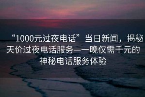 “1000元過夜電話”當(dāng)日新聞，揭秘天價過夜電話服務(wù)—一晚僅需千元的神秘電話服務(wù)體驗