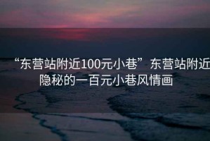 “東營站附近100元小巷”東營站附近隱秘的一百元小巷風情畫