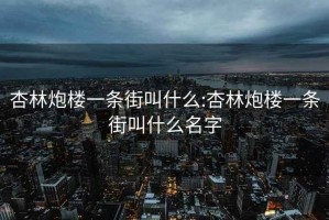 杏林炮樓一條街叫什么:杏林炮樓一條街叫什么名字