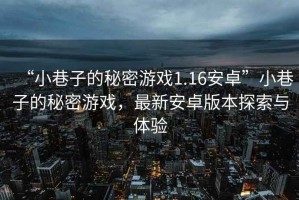 “小巷子的秘密游戲1.16安卓”小巷子的秘密游戲，最新安卓版本探索與體驗(yàn)