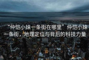 “仲愷小妹一條街在哪里”仲愷小妹一條街，地理定位與背后的科技力量