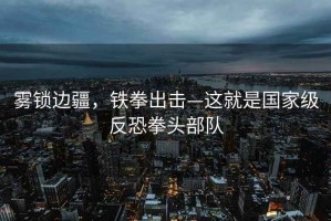 霧鎖邊疆，鐵拳出擊—這就是國家級(jí)反恐拳頭部隊(duì)