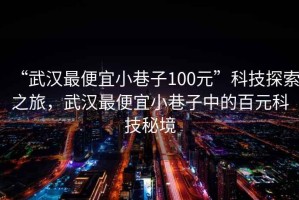 “武漢最便宜小巷子100元”科技探索之旅，武漢最便宜小巷子中的百元科技秘境