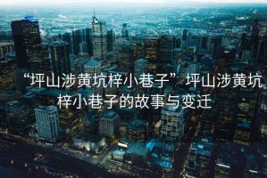 “坪山涉黃坑梓小巷子”坪山涉黃坑梓小巷子的故事與變遷