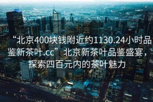 “北京400塊錢附近約1130.24小時品鑒新茶葉.cc”北京新茶葉品鑒盛宴，探索四百元內的茶葉魅力