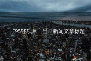 “9598項(xiàng)目”當(dāng)日新聞文章標(biāo)題