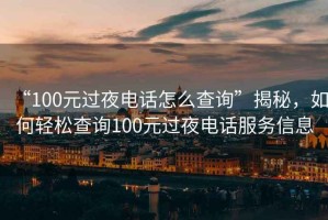“100元過夜電話怎么查詢”揭秘，如何輕松查詢100元過夜電話服務(wù)信息