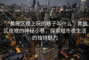 “黃陂區(qū)晚上玩的巷子叫什么”黃陂區(qū)夜晚的神秘小巷，探索城市夜生活的獨特魅力
