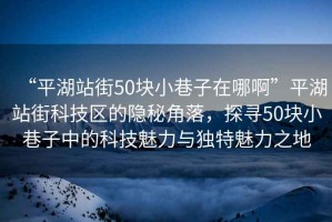 “平湖站街50塊小巷子在哪啊”平湖站街科技區(qū)的隱秘角落，探尋50塊小巷子中的科技魅力與獨特魅力之地