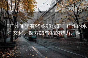 “廣州哪里有95或98水匯”廣州的水匯文化，探索95與98的魅力之源