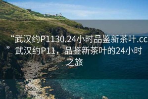 “武漢約P1130.24小時品鑒新茶葉.cc”武漢約P11，品鑒新茶葉的24小時之旅
