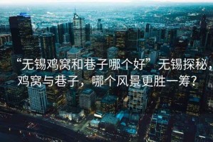 “無錫雞窩和巷子哪個好”無錫探秘，雞窩與巷子，哪個風(fēng)景更勝一籌？
