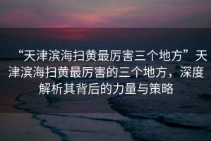 “天津濱海掃黃最厲害三個地方”天津濱海掃黃最厲害的三個地方，深度解析其背后的力量與策略