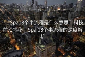 “Spa18個半流程是什么意思”科技前沿揭秘，Spa 18個半流程的深度解析