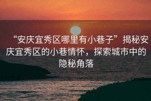 “安慶宜秀區(qū)哪里有小巷子”揭秘安慶宜秀區(qū)的小巷情懷，探索城市中的隱秘角落