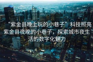 “紫金縣晚上玩的小巷子”科技照亮紫金縣夜晚的小巷子，探索城市夜生活的數(shù)字化魅力