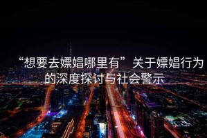 “想要去嫖娼哪里有”關(guān)于嫖娼行為的深度探討與社會(huì)警示
