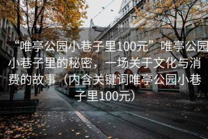 “唯亭公園小巷子里100元”唯亭公園小巷子里的秘密，一場關(guān)于文化與消費的故事（內(nèi)含關(guān)鍵詞唯亭公園小巷子里100元）