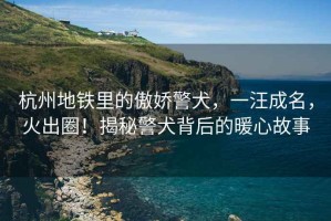 杭州地鐵里的傲嬌警犬，一汪成名，火出圈！揭秘警犬背后的暖心故事