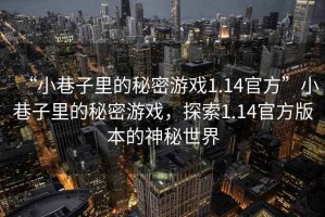 “小巷子里的秘密游戲1.14官方”小巷子里的秘密游戲，探索1.14官方版本的神秘世界