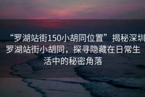 “羅湖站街150小胡同位置”揭秘深圳羅湖站街小胡同，探尋隱藏在日常生活中的秘密角落