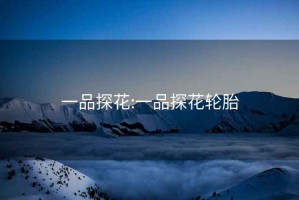 一品探花:一品探花輪胎