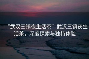 “武漢三鎮(zhèn)夜生活茶”武漢三鎮(zhèn)夜生活茶，深度探索與獨(dú)特體驗(yàn)