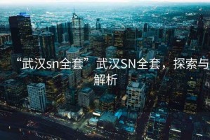 “武漢sn全套”武漢SN全套，探索與解析
