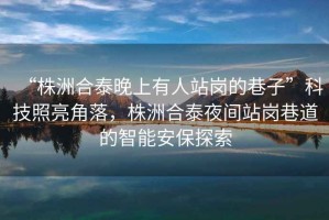 “株洲合泰晚上有人站崗的巷子”科技照亮角落，株洲合泰夜間站崗巷道的智能安保探索