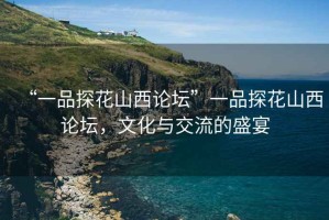 “一品探花山西論壇”一品探花山西論壇，文化與交流的盛宴