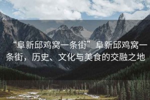 “阜新邱雞窩一條街”阜新邱雞窩一條街，歷史、文化與美食的交融之地