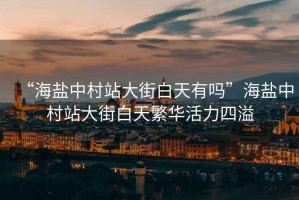 “海鹽中村站大街白天有嗎”海鹽中村站大街白天繁華活力四溢