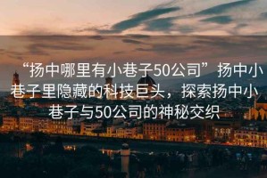 “揚(yáng)中哪里有小巷子50公司”揚(yáng)中小巷子里隱藏的科技巨頭，探索揚(yáng)中小巷子與50公司的神秘交織