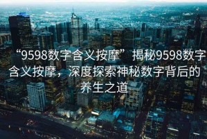 “9598數(shù)字含義按摩”揭秘9598數(shù)字含義按摩，深度探索神秘數(shù)字背后的養(yǎng)生之道