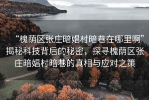 “槐蔭區(qū)張莊暗娼村暗巷在哪里啊”揭秘科技背后的秘密，探尋槐蔭區(qū)張莊暗娼村暗巷的真相與應(yīng)對(duì)之策