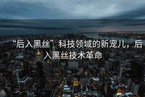 “后入黑絲”科技領域的新寵兒，后入黑絲技術革命