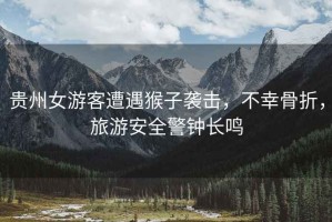 貴州女游客遭遇猴子襲擊，不幸骨折，旅游安全警鐘長鳴
