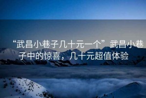 “武昌小巷子幾十元一個(gè)”武昌小巷子中的驚喜，幾十元超值體驗(yàn)