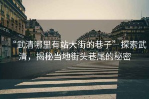 “武清哪里有站大街的巷子”探索武清，揭秘當(dāng)?shù)亟诸^巷尾的秘密