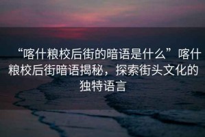 “喀什糧校后街的暗語是什么”喀什糧校后街暗語揭秘，探索街頭文化的獨特語言