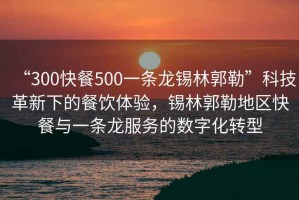 “300快餐500一條龍錫林郭勒”科技革新下的餐飲體驗(yàn)，錫林郭勒地區(qū)快餐與一條龍服務(wù)的數(shù)字化轉(zhuǎn)型