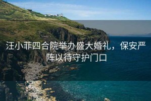 汪小菲四合院舉辦盛大婚禮，保安嚴(yán)陣以待守護門口