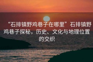 “石排鎮(zhèn)野雞巷子在哪里”石排鎮(zhèn)野雞巷子探秘，歷史、文化與地理位置的交織