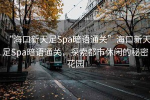 “?？谛绿熳鉙pa暗語通關(guān)”?？谛绿熳鉙pa暗語通關(guān)，探索都市休閑的秘密花園