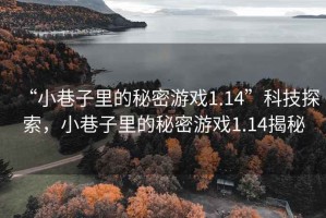 “小巷子里的秘密游戲1.14”科技探索，小巷子里的秘密游戲1.14揭秘