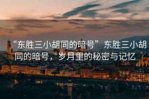 “東勝三小胡同的暗號”東勝三小胡同的暗號，歲月里的秘密與記憶