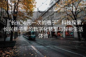 “長興50元一次的巷子”科技探索，長興巷子里的數(shù)字化轉(zhuǎn)型與智能生活體驗